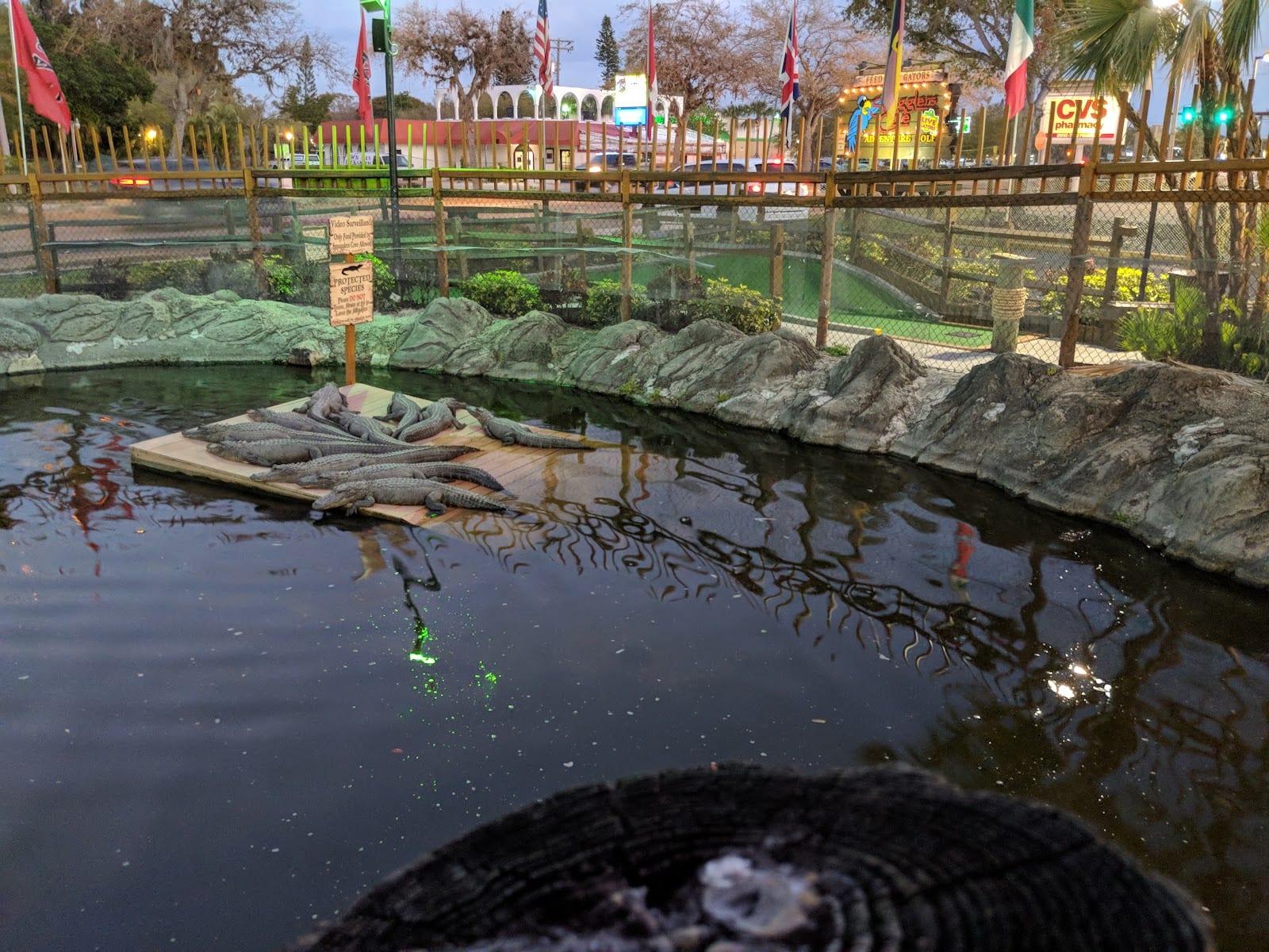 Smugglers Cove Adventure Golf
