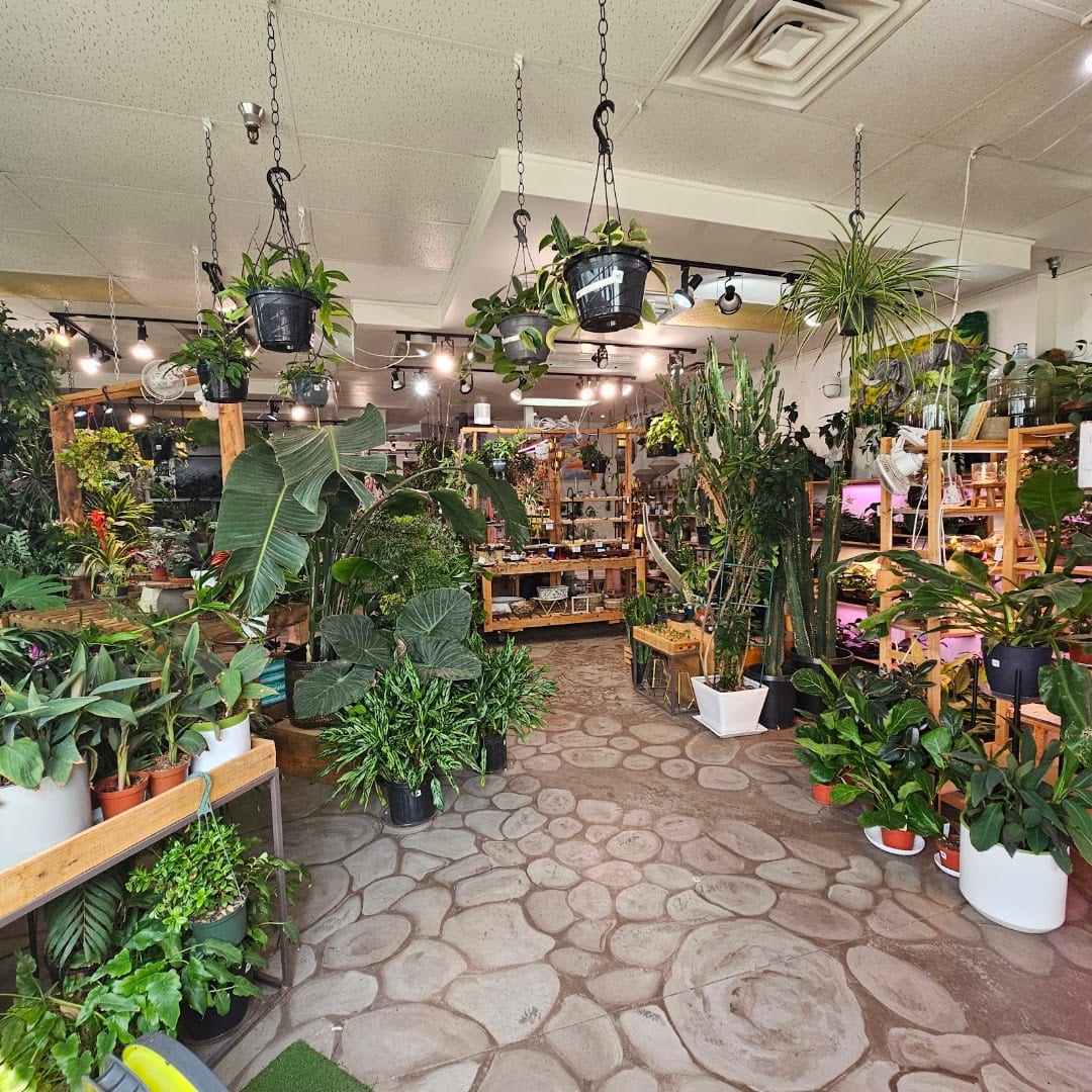 The Plant Gallery & Zalea Flowers, photo 4