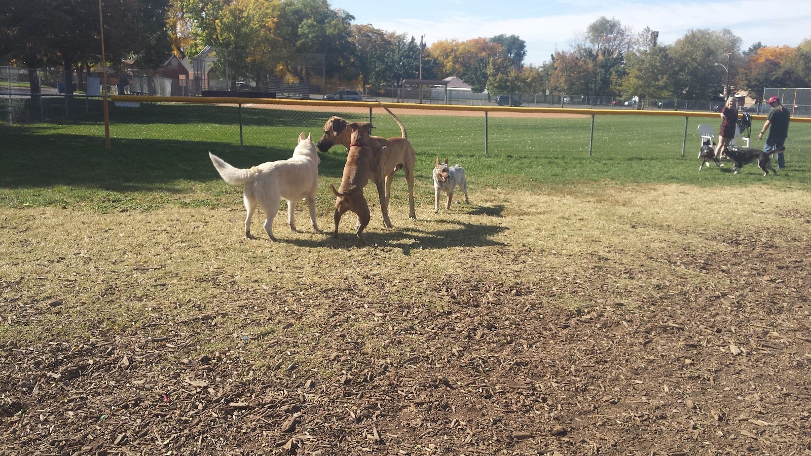 Herman Franks Park