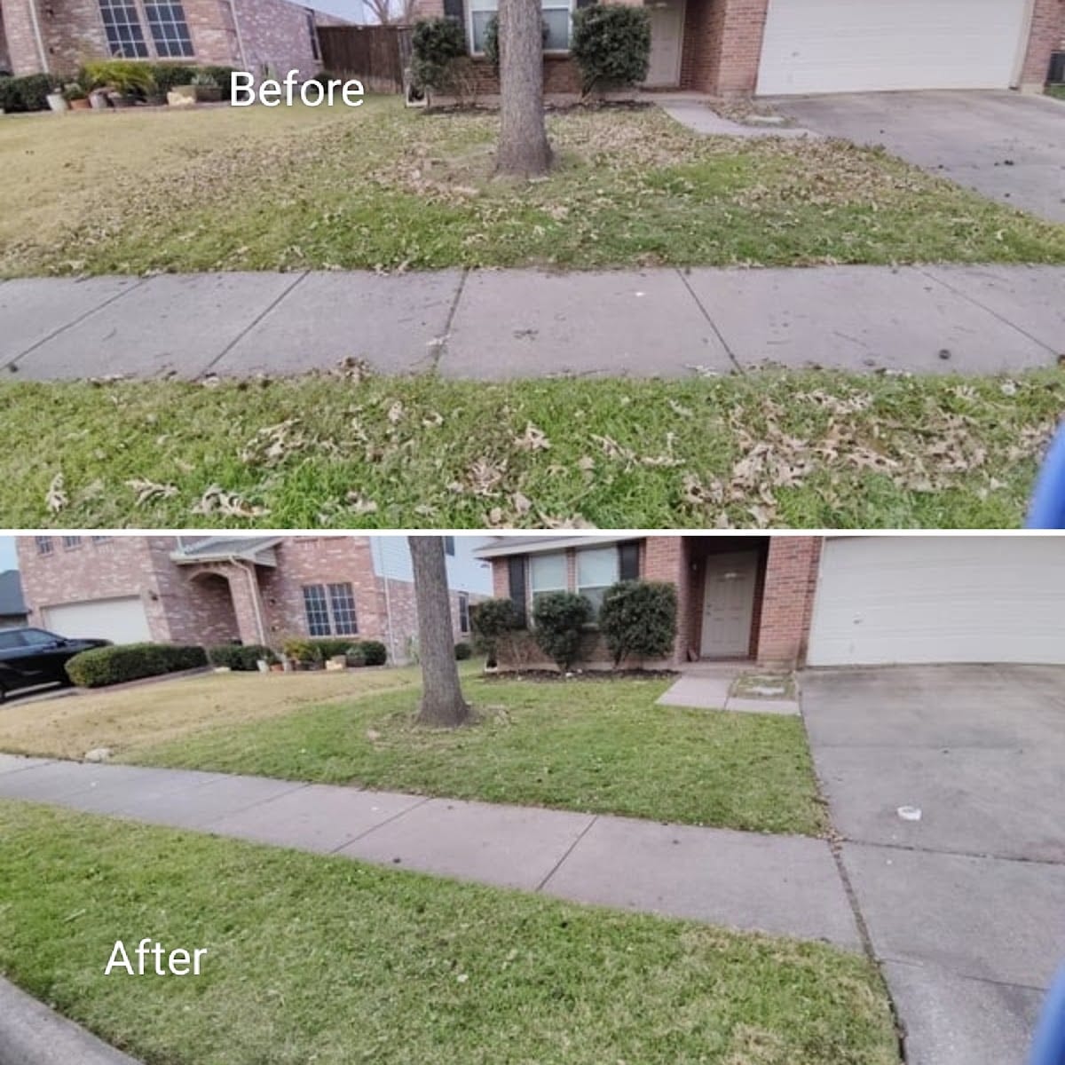 Nighthawk Lawn & Landscape