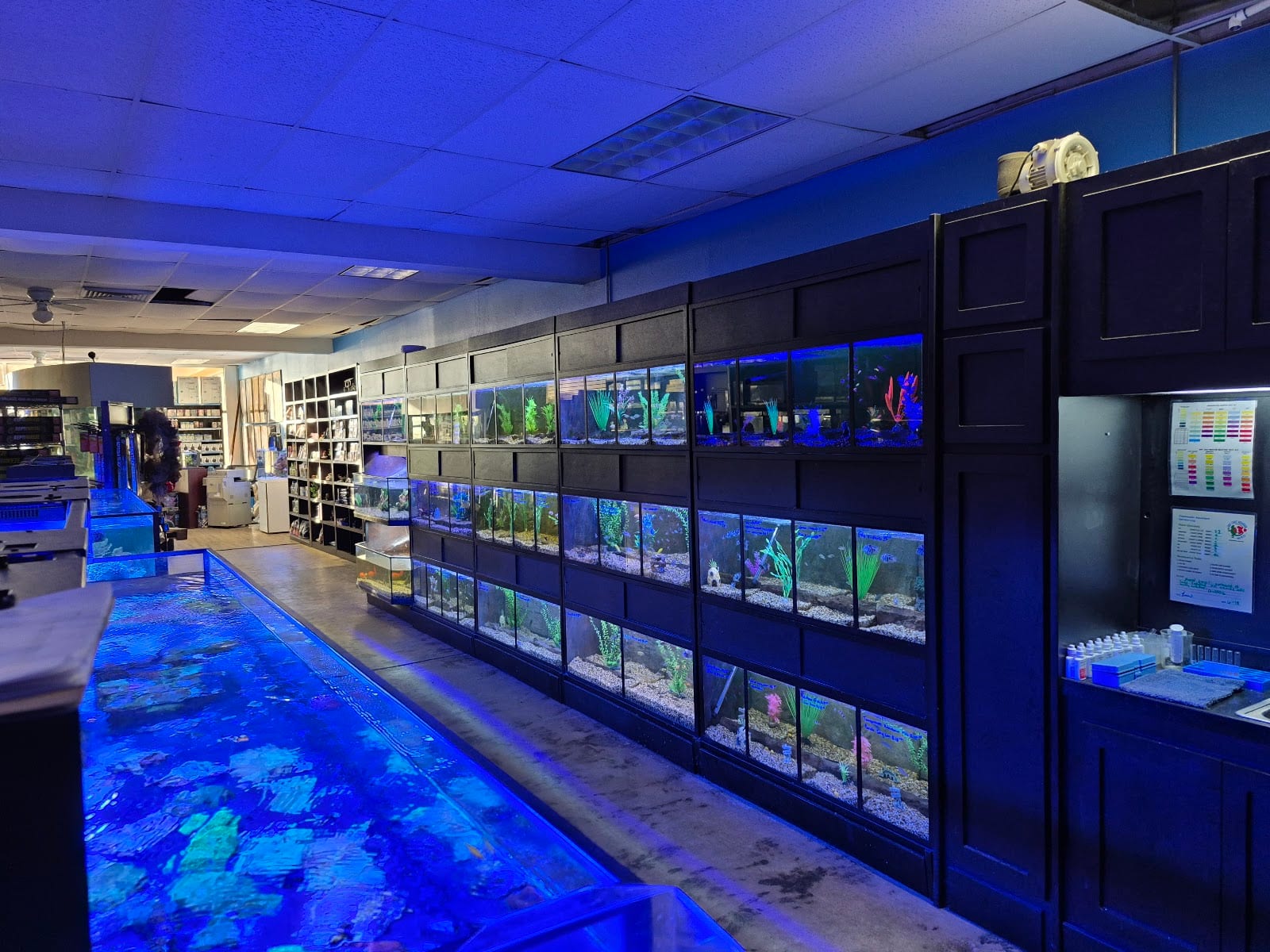Gulf Coast Aquarium and Pets