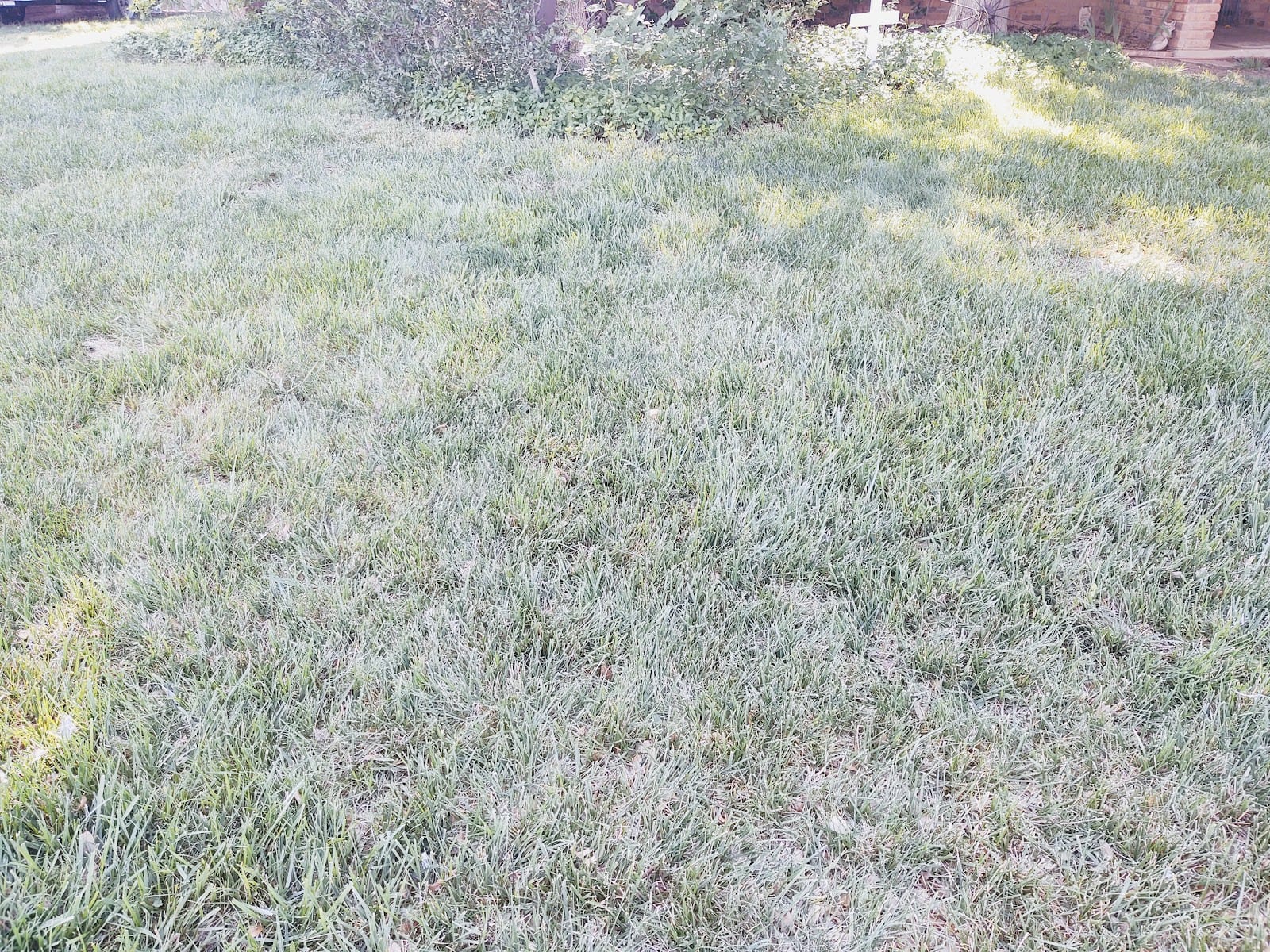 M&M Sprinklers & Trees, photo 3