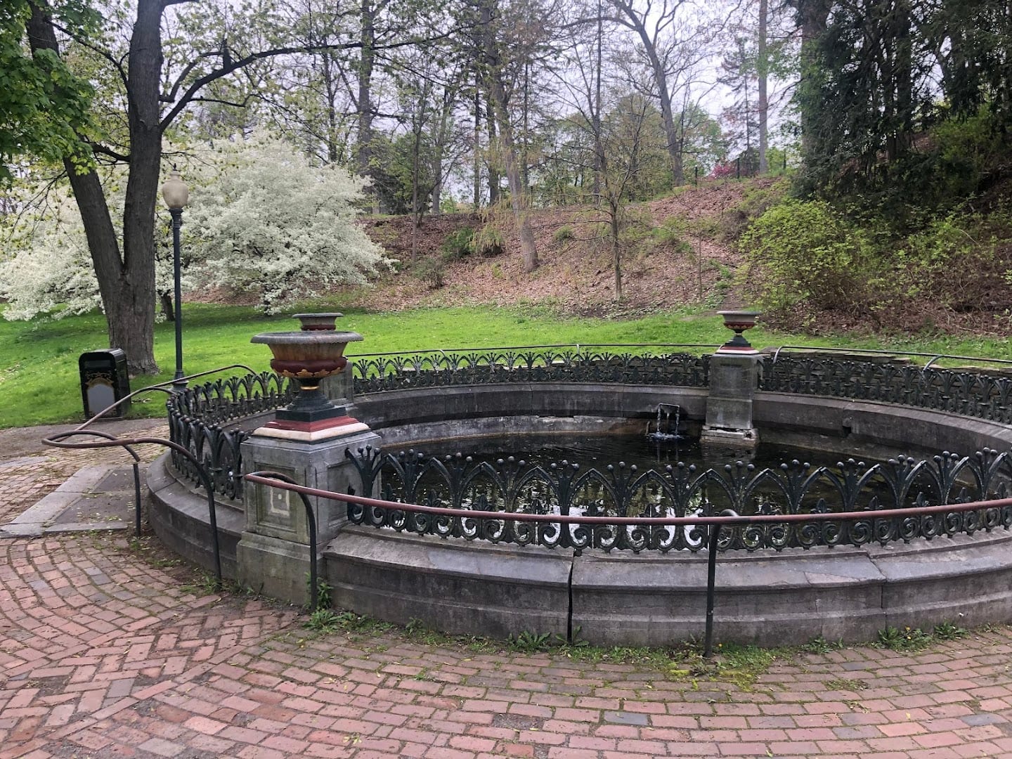 Saratoga Springs Koi Fish Pond, photo 4