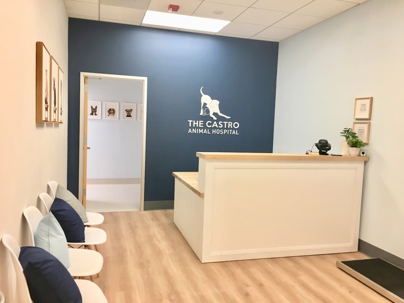 The Castro Animal Hospital, photo 2