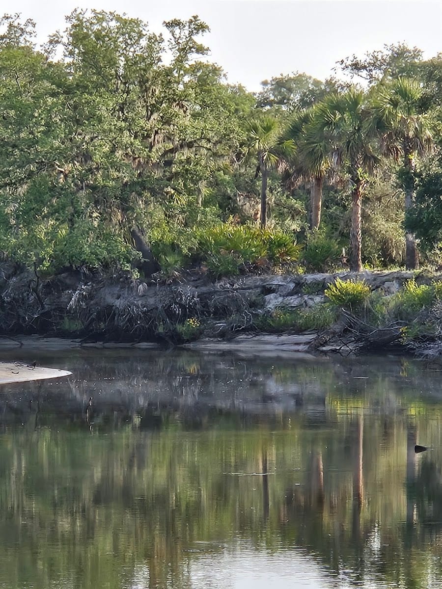 Venice Myakka River Park, photo 3