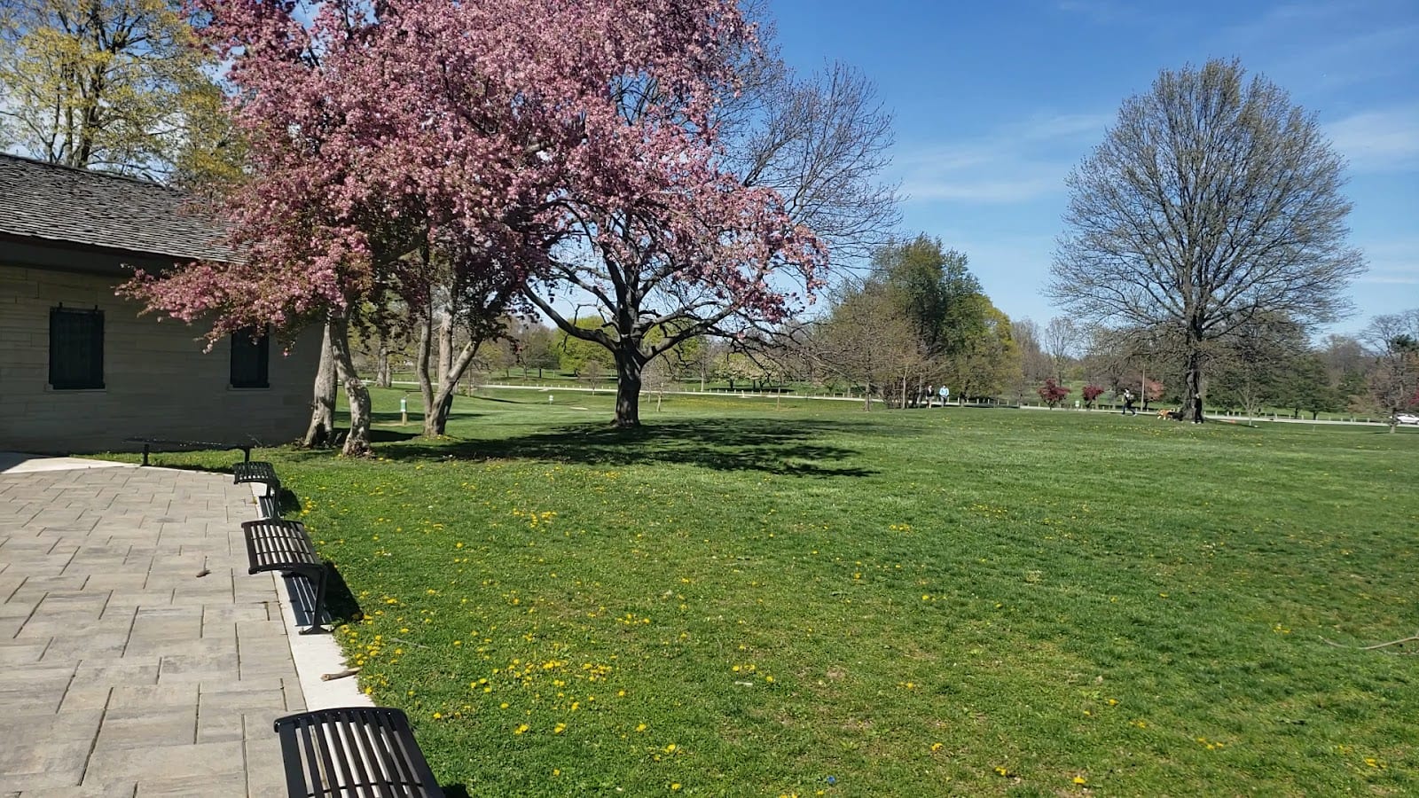 Shoaff Park, photo 3