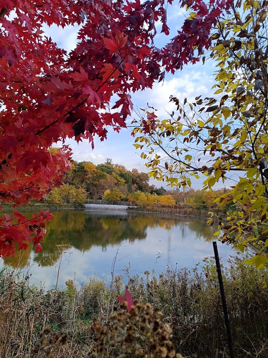 West Humber River Bridge and Pond