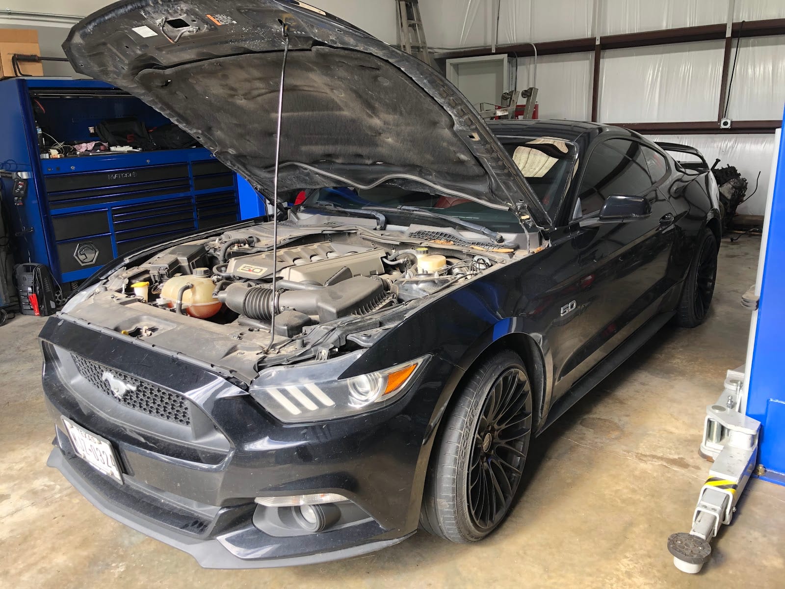 The Auto Specialist, photo 2