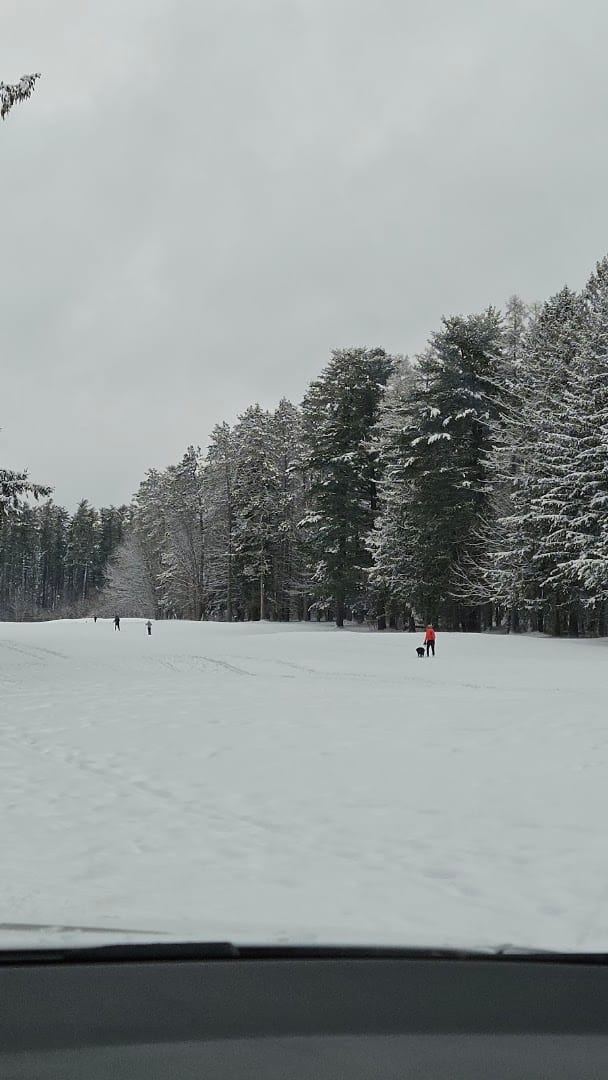 SPAC Picnic parking, photo 2