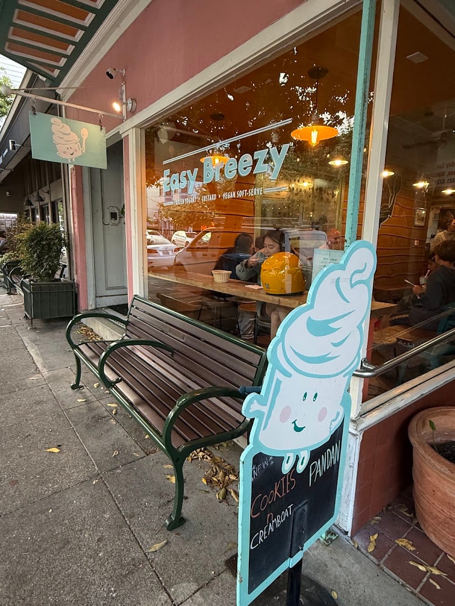 Easy Breezy Frozen Yogurt, photo 3