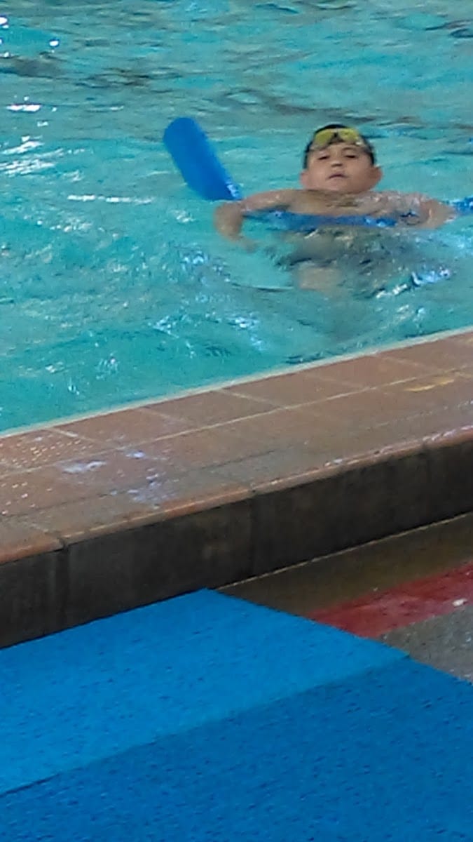 Garfield Pool, photo 3
