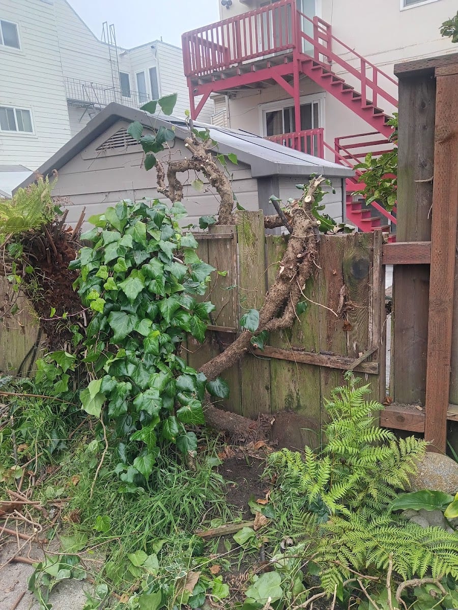 Tangent Real Estate, photo 2