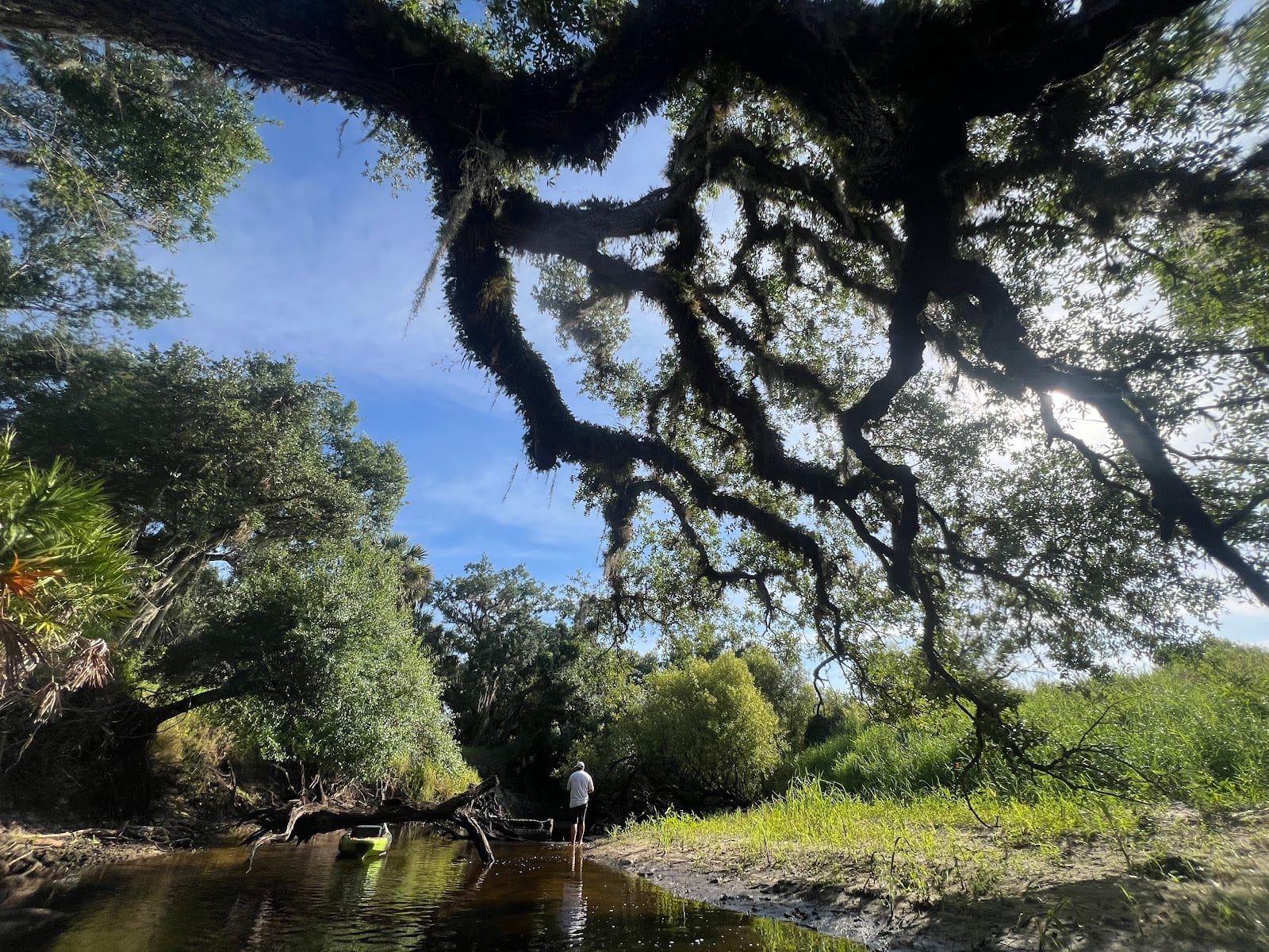 Prairie Creek Preserve