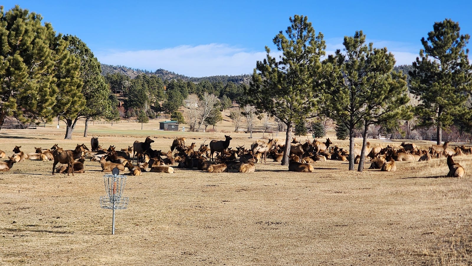 Estes Lake Recreation Area, photo 3