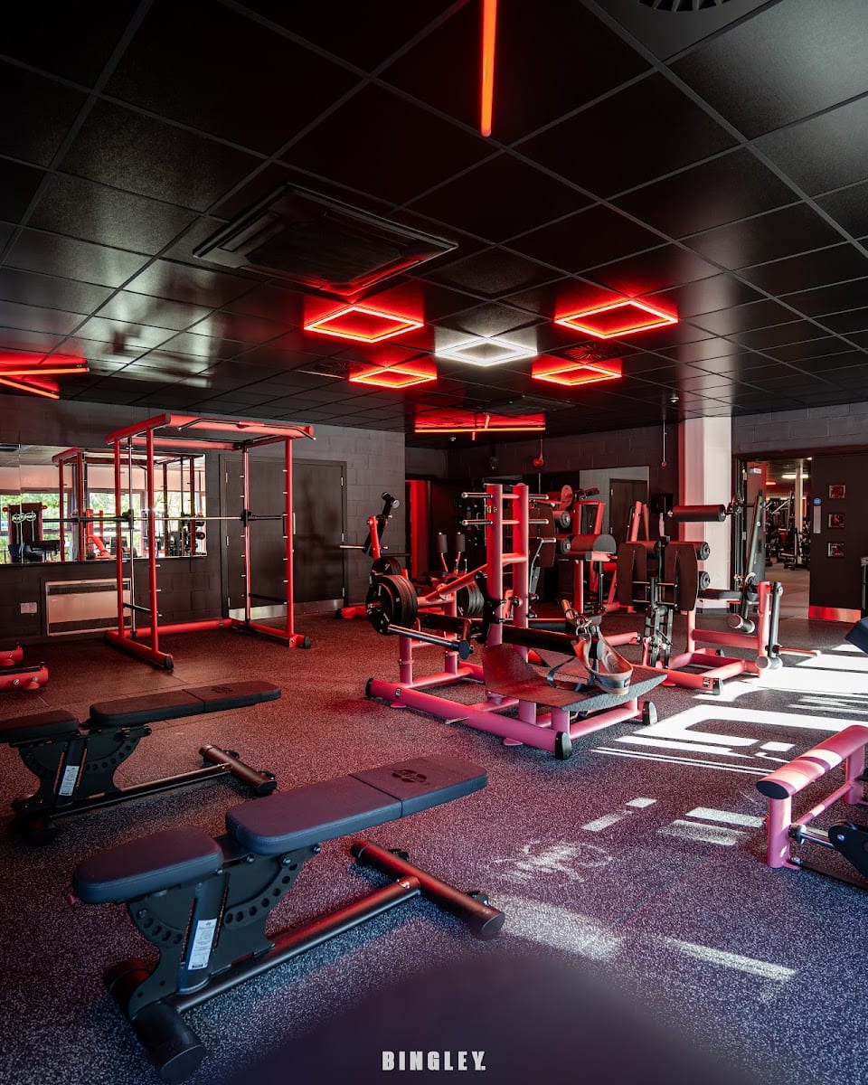 Ab Salute Gym
