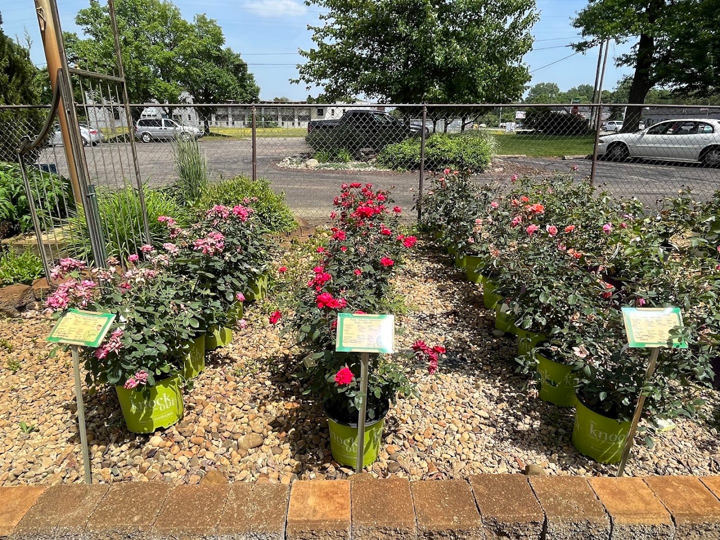 Greenscape Services