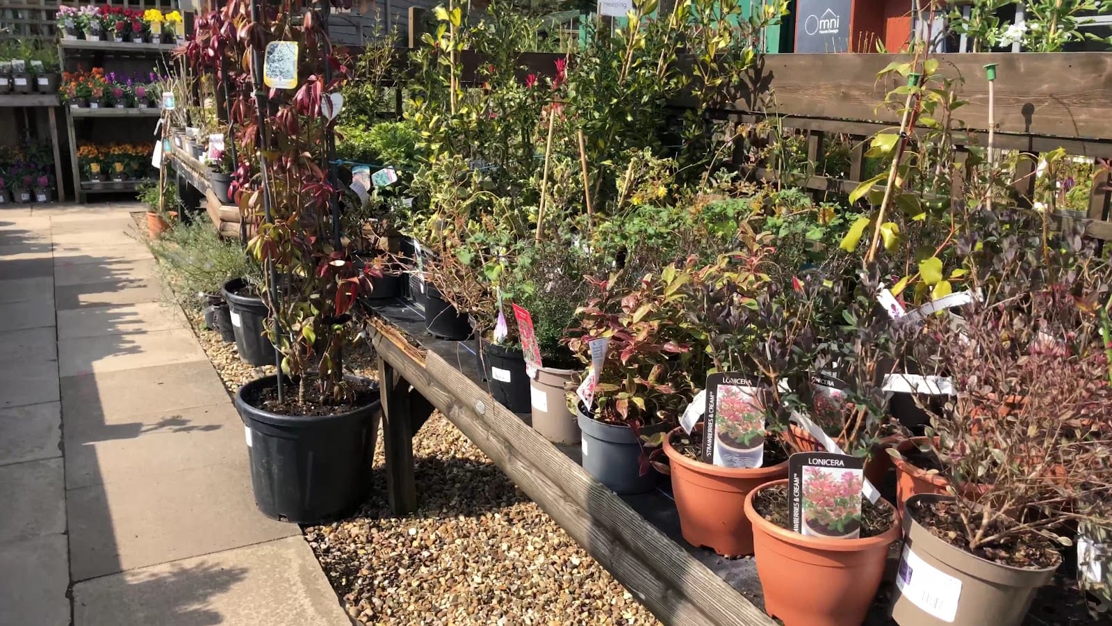 The Hertfordshire Garden Centre, photo 4