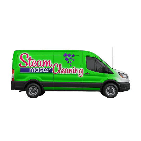 Steam Master Cleaning, photo 2