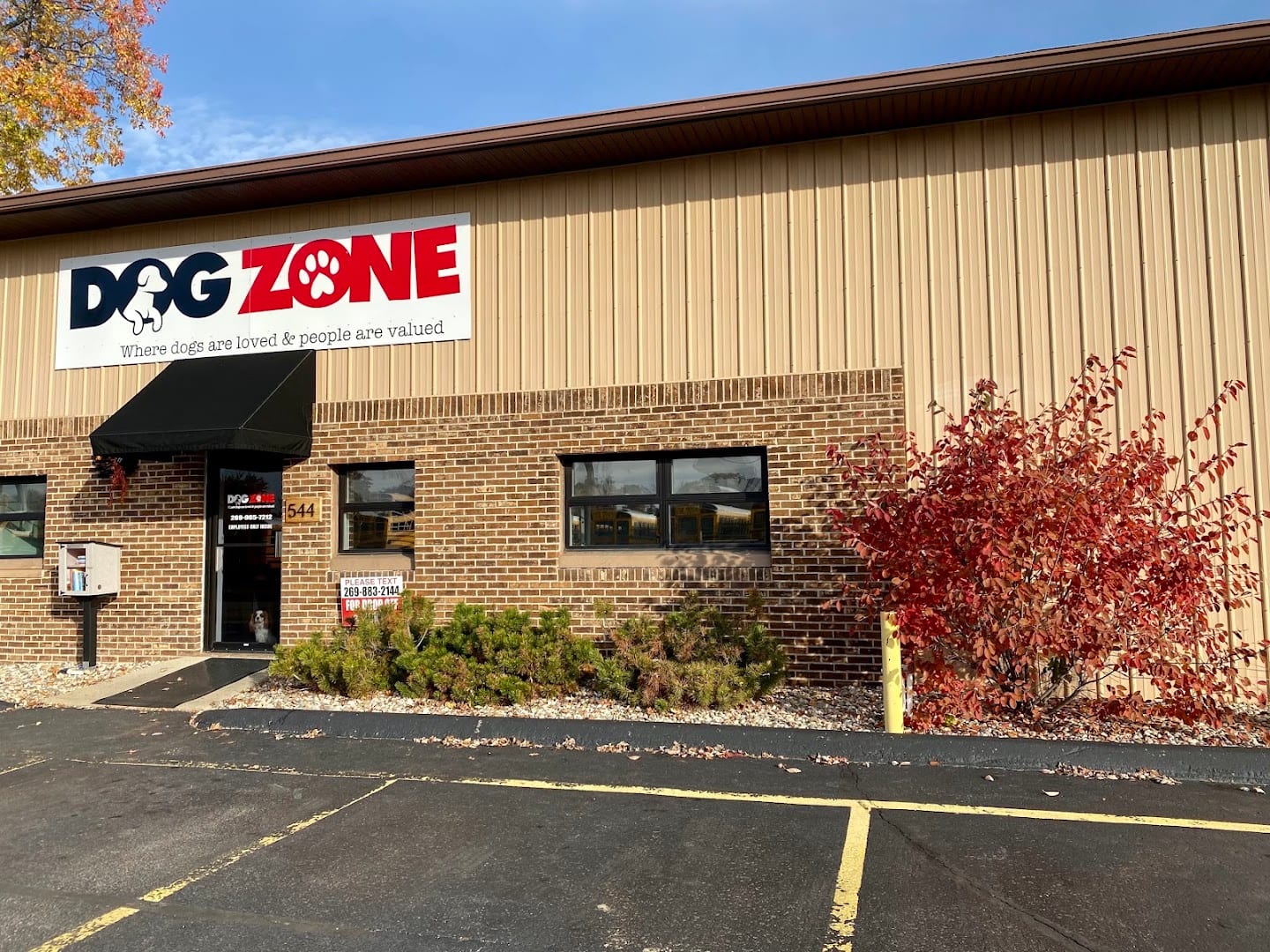 Dog Zone, photo 2