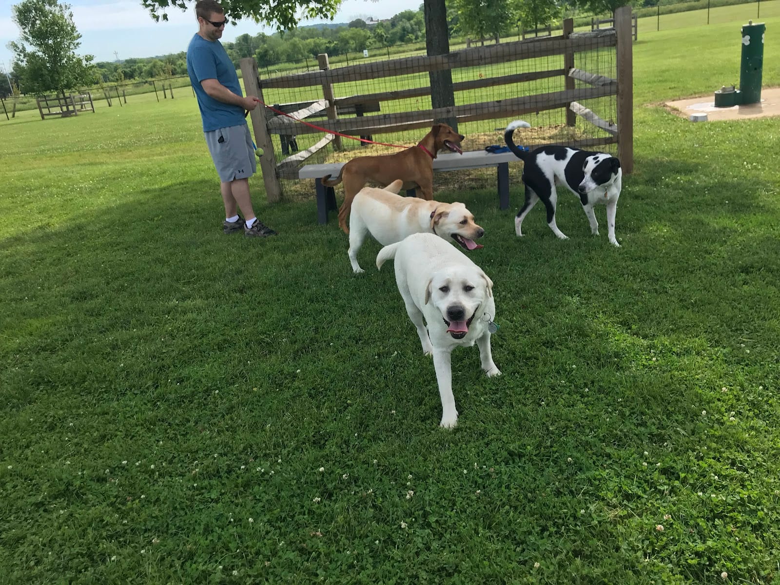 Doylestown Private Dog Park (members only)