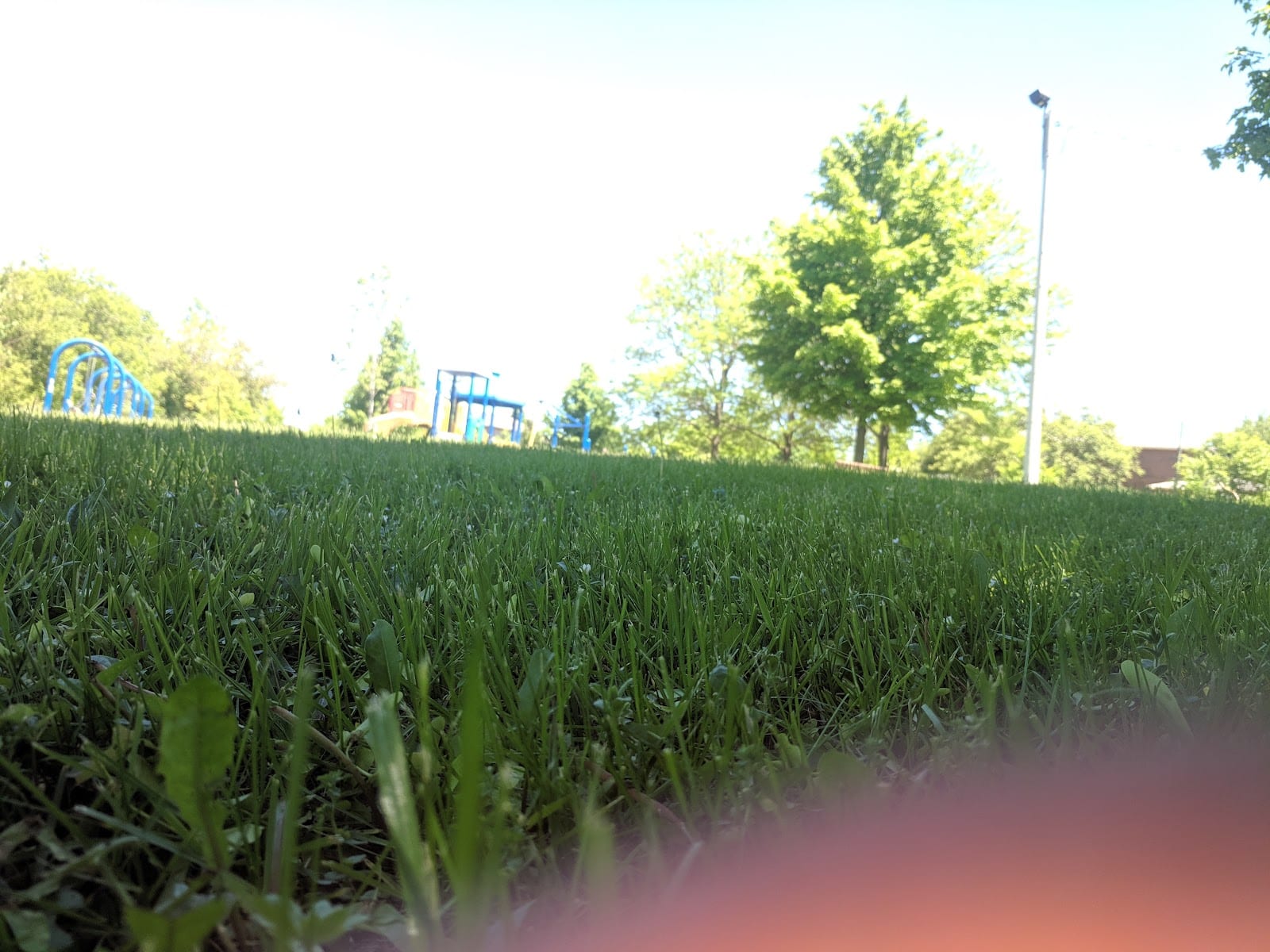 Louise Russo Park, photo 3