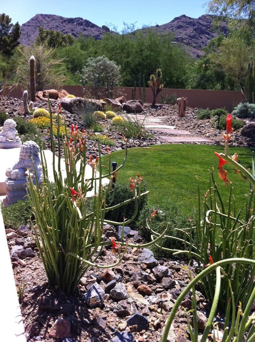 Gibson Landscape Services, Inc. Turf Management