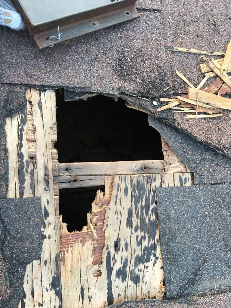 Pest Control Markham, photo 2
