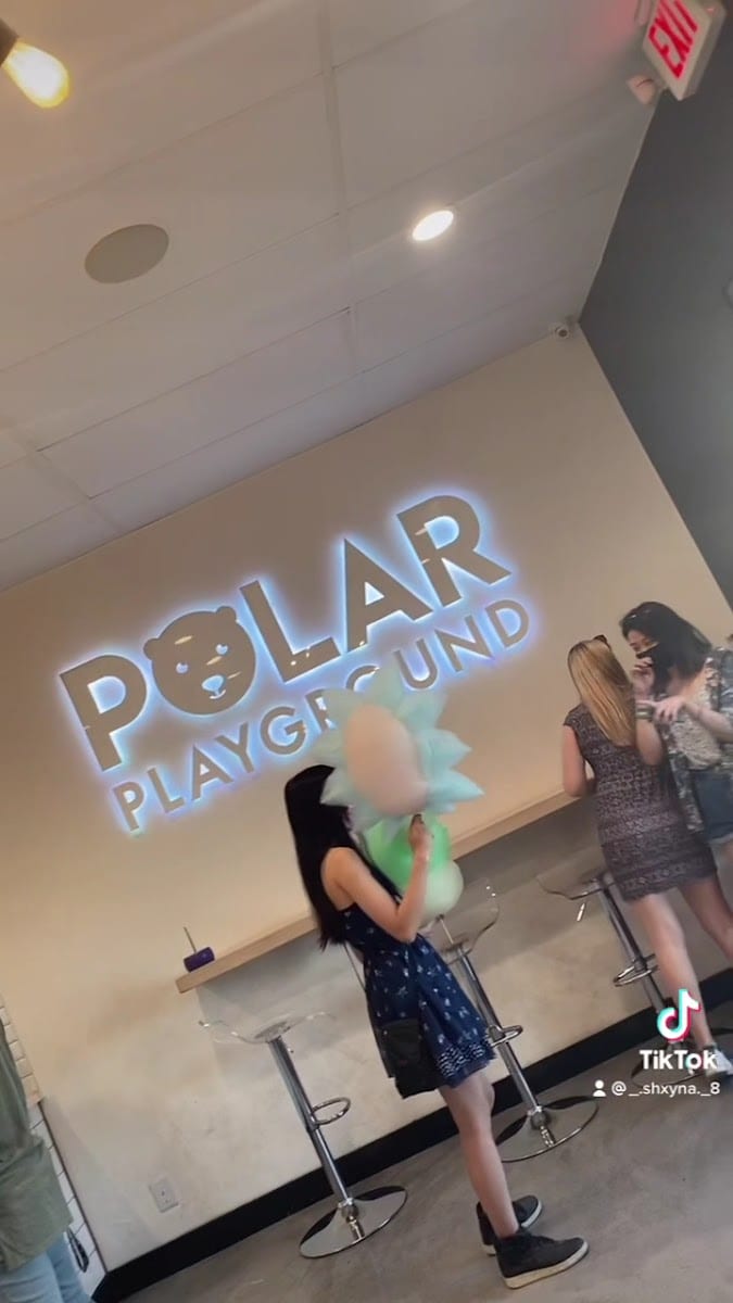 Polar Playground, photo 3