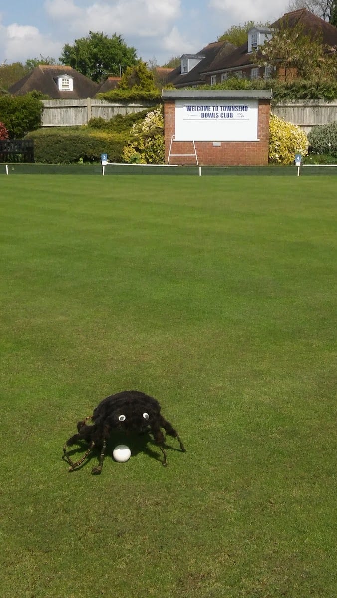 Townsend Tennis & Bowls Club, photo 3