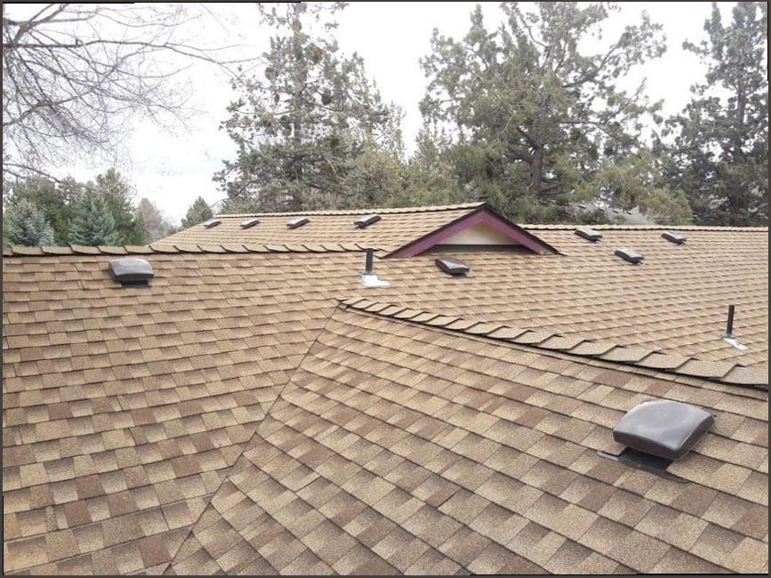 SF Roof Specialists
