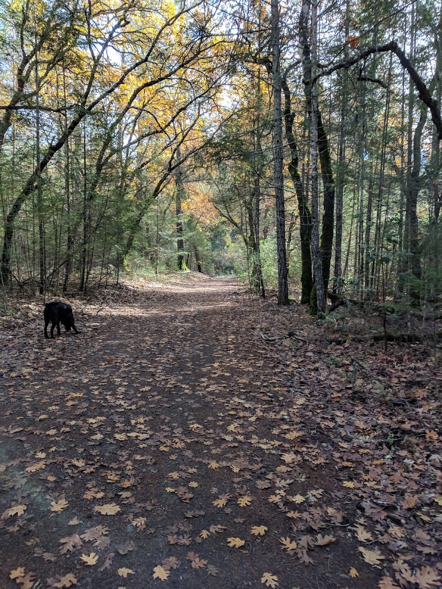 Las Posadas State Forest, photo 2