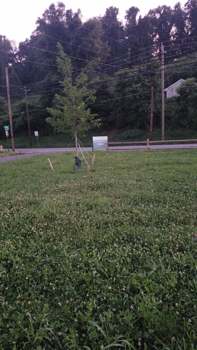 Covington Park, photo 2