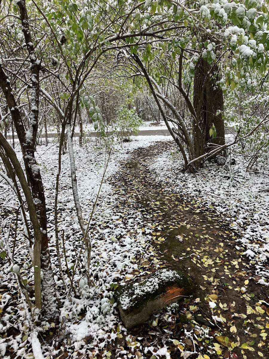 Derby Downs Trails