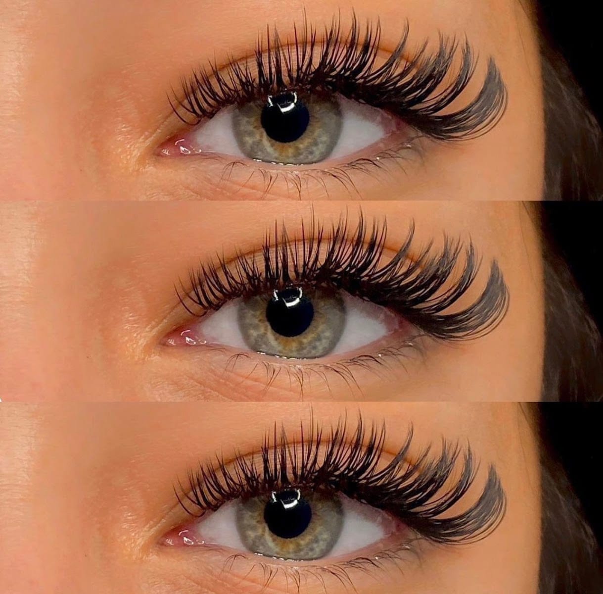 Lash Suite 734