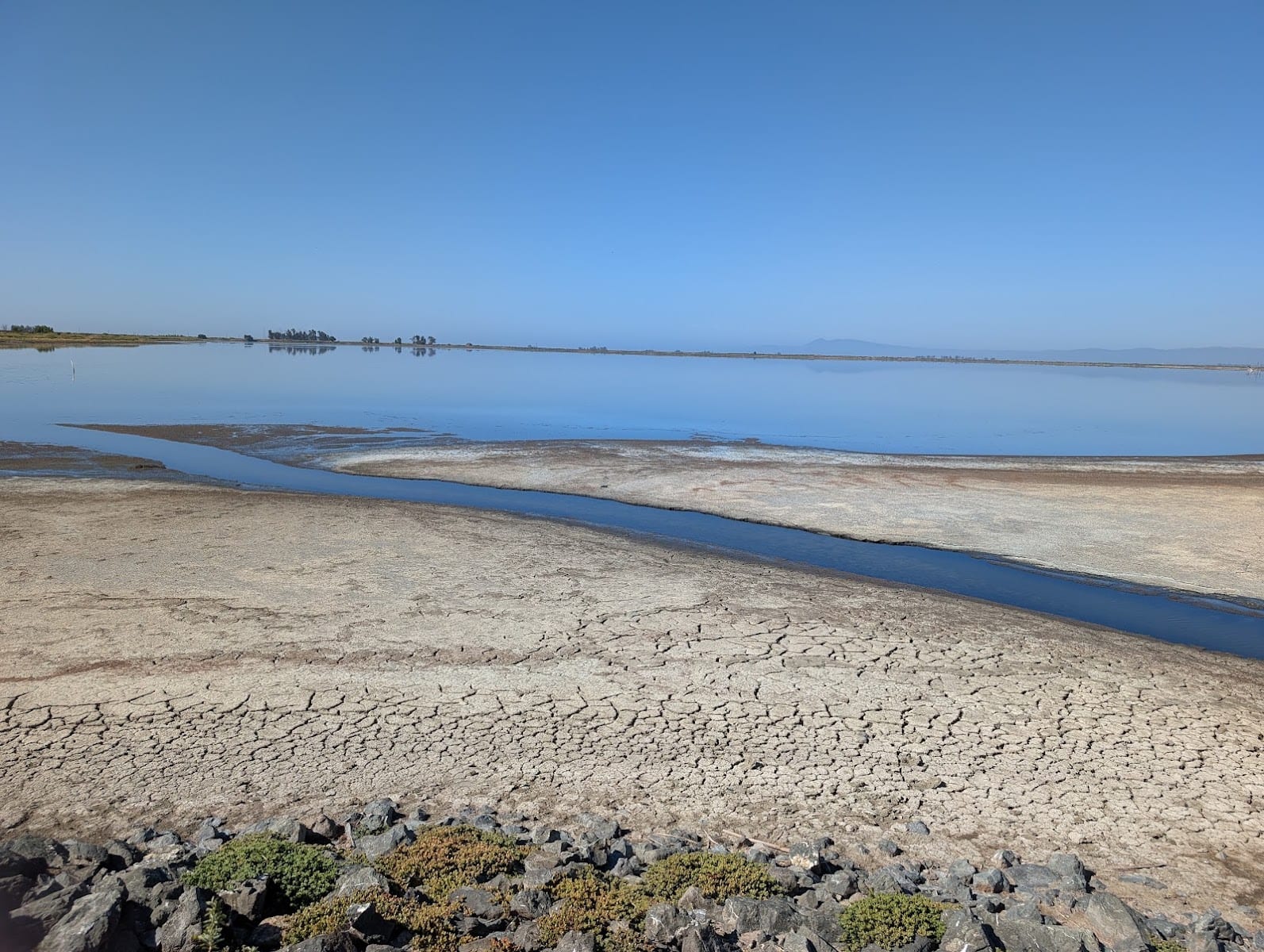 Huichica Creek Wildlife Area