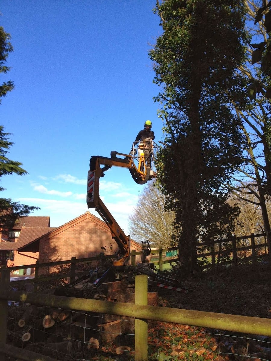 D.Durrant Garden Services, photo 2