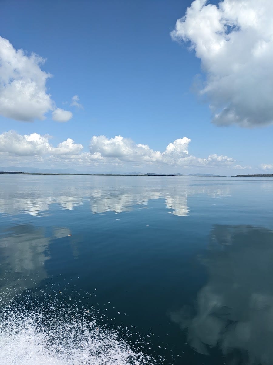 Newry Islands National Park