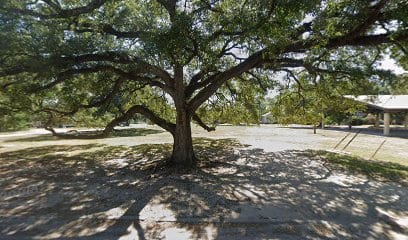 Chaison Park