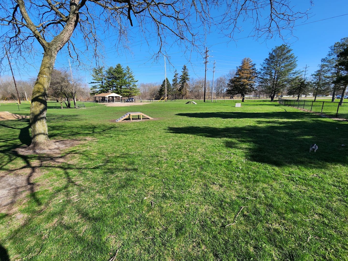 Springfield Dog Park