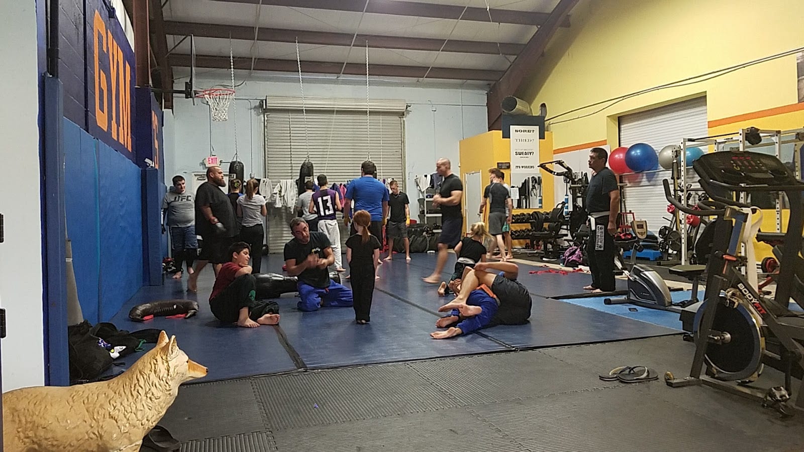 Gustavo Machado BJJ Punta Gorda