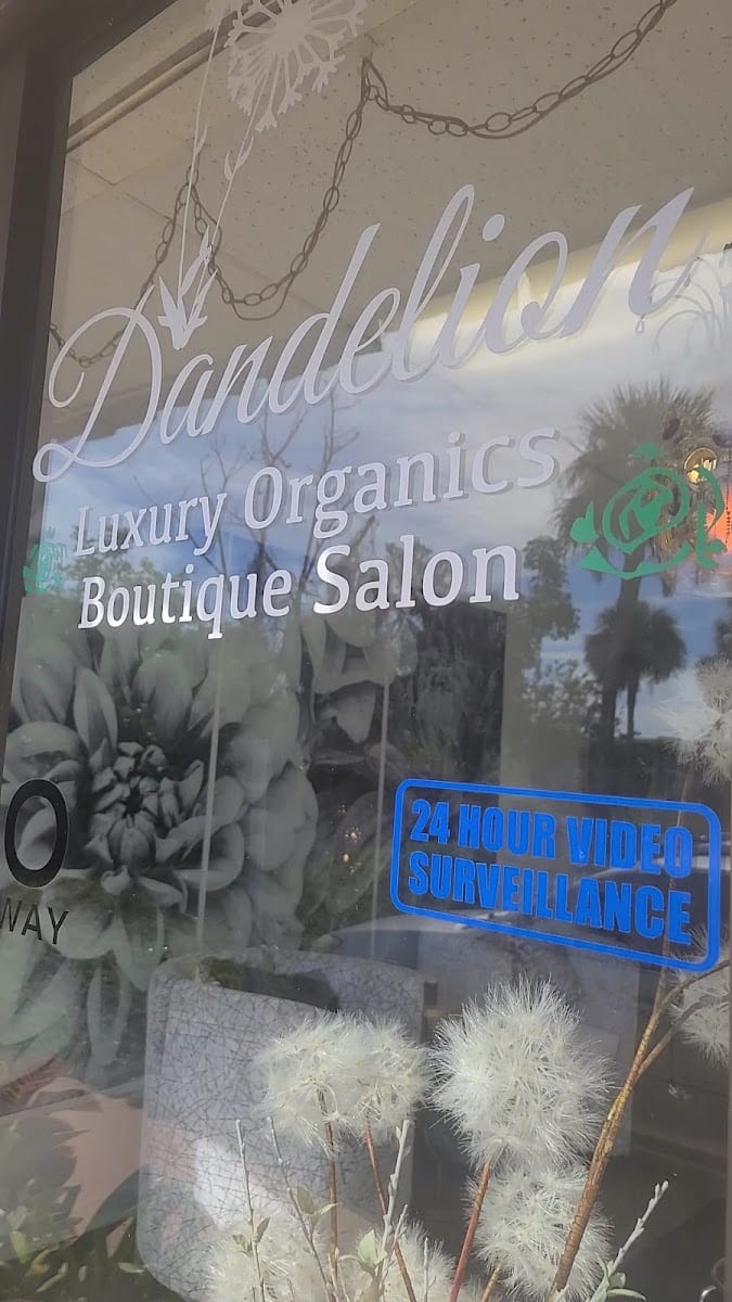 DANDELION Luxury Organic Salon and HEADSPA, photo 4