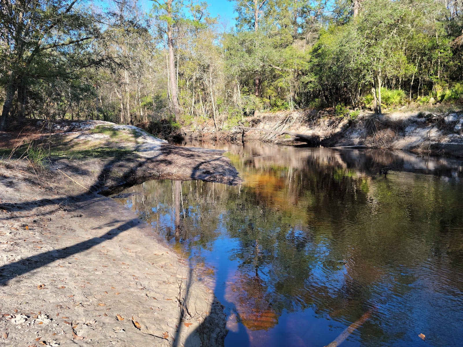 Jennings State Forest, photo 3