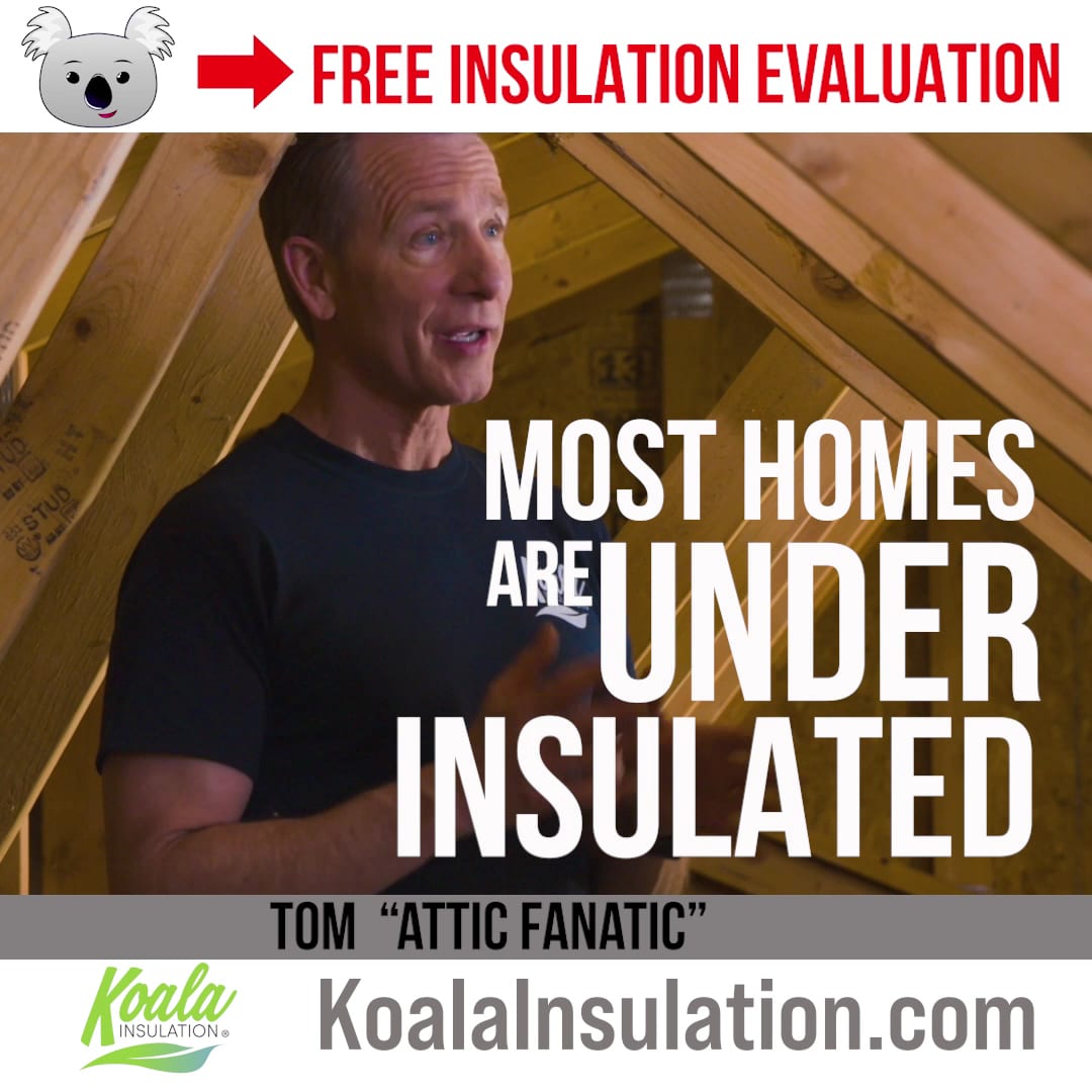 Koala Insulation of Greenville, photo 3