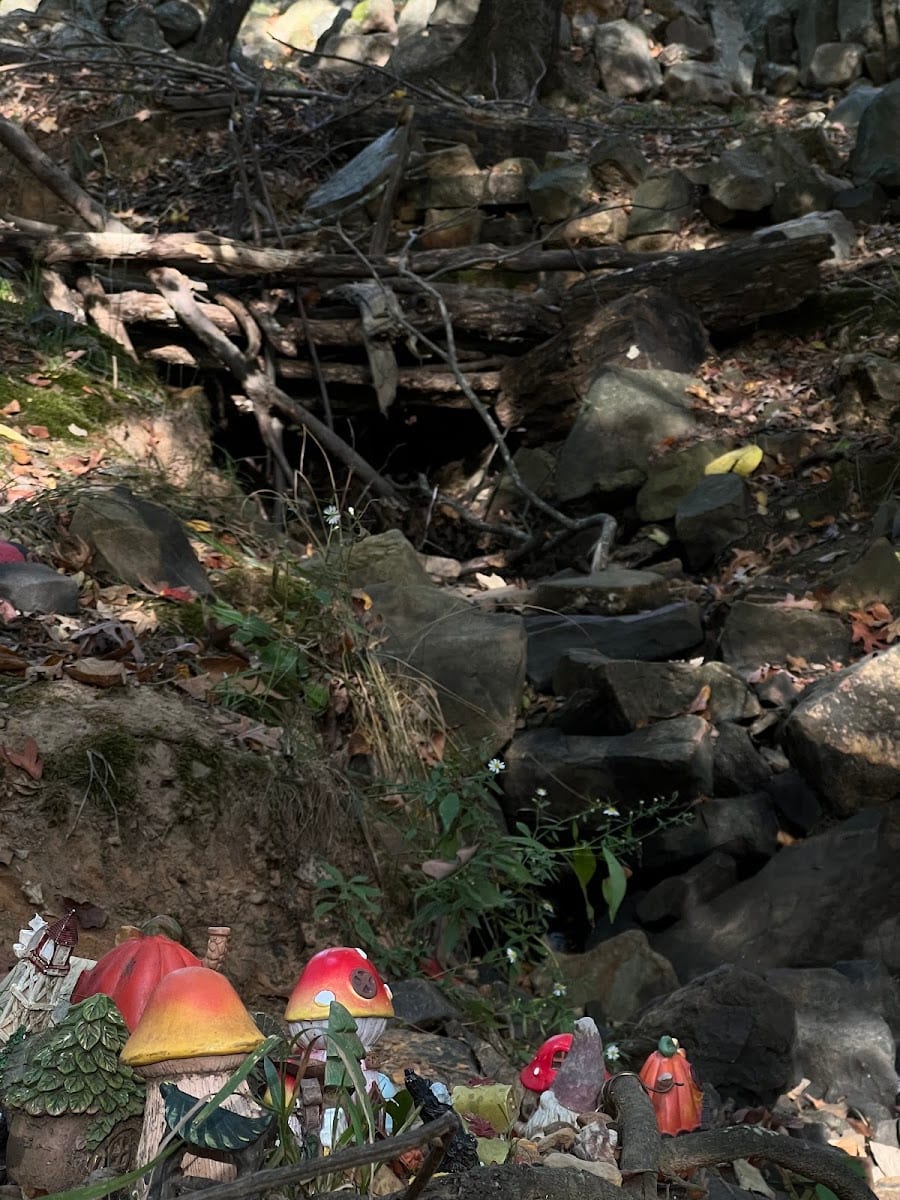 Rock Garden