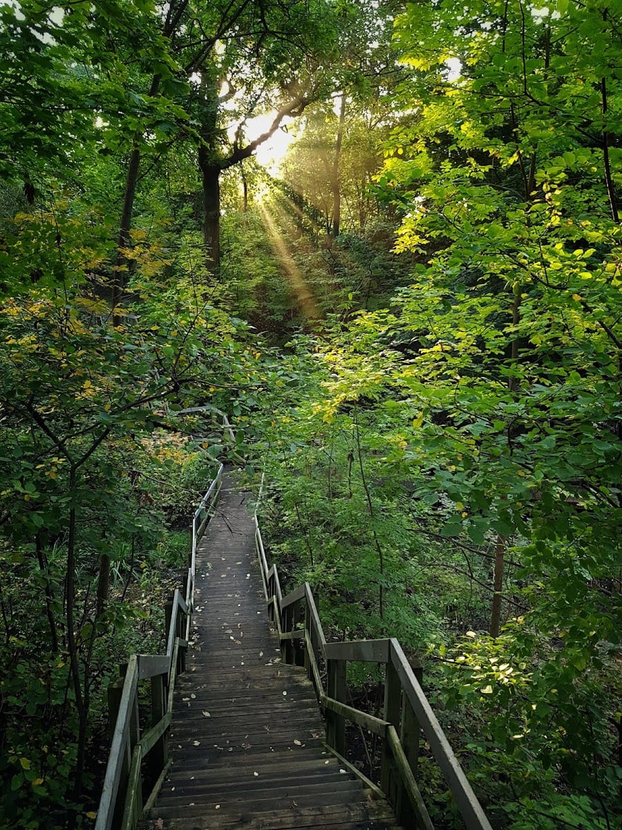 Merrill Bridge Road Park