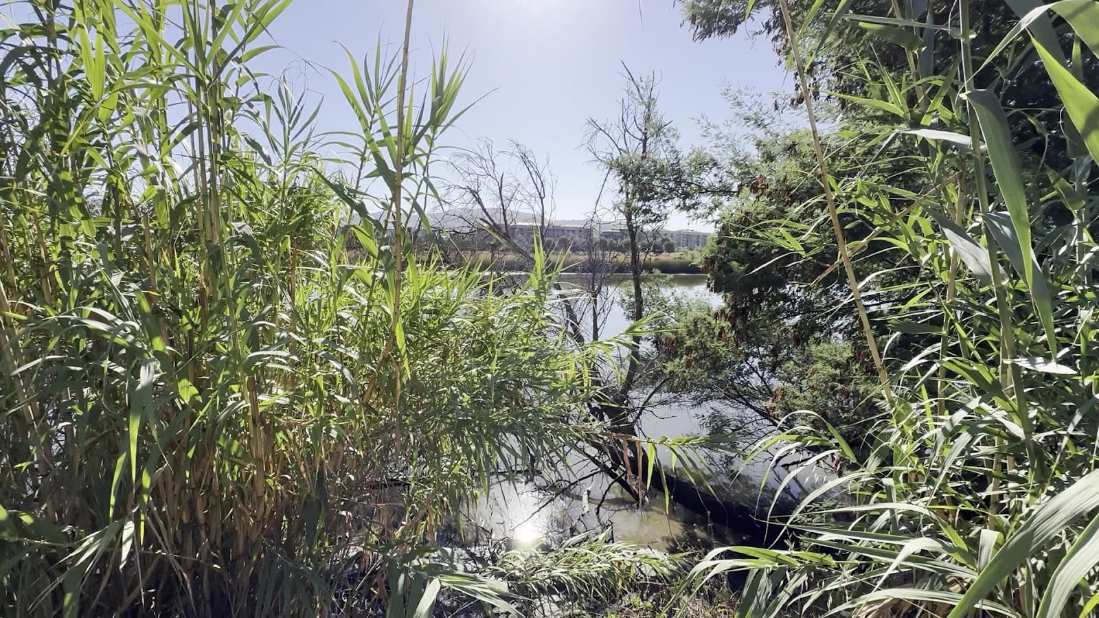 Riverside Park, photo 2
