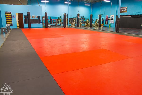 Gracie Tampa South MMA & BJJ