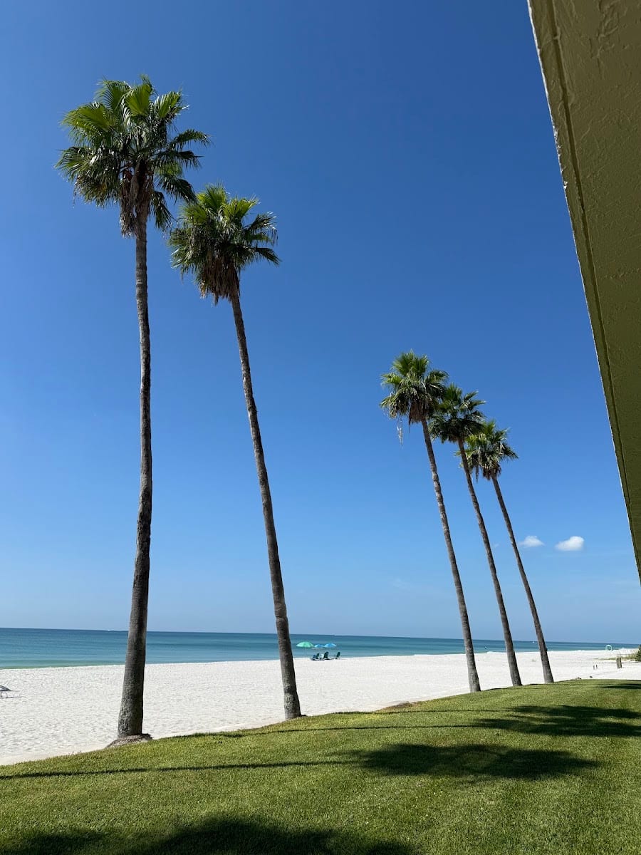 The Beachcomber, photo 3