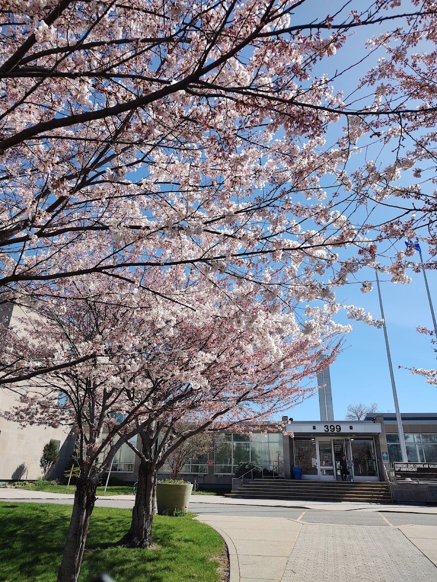 Etobicoke Civic Centre Art Gallery, photo 2