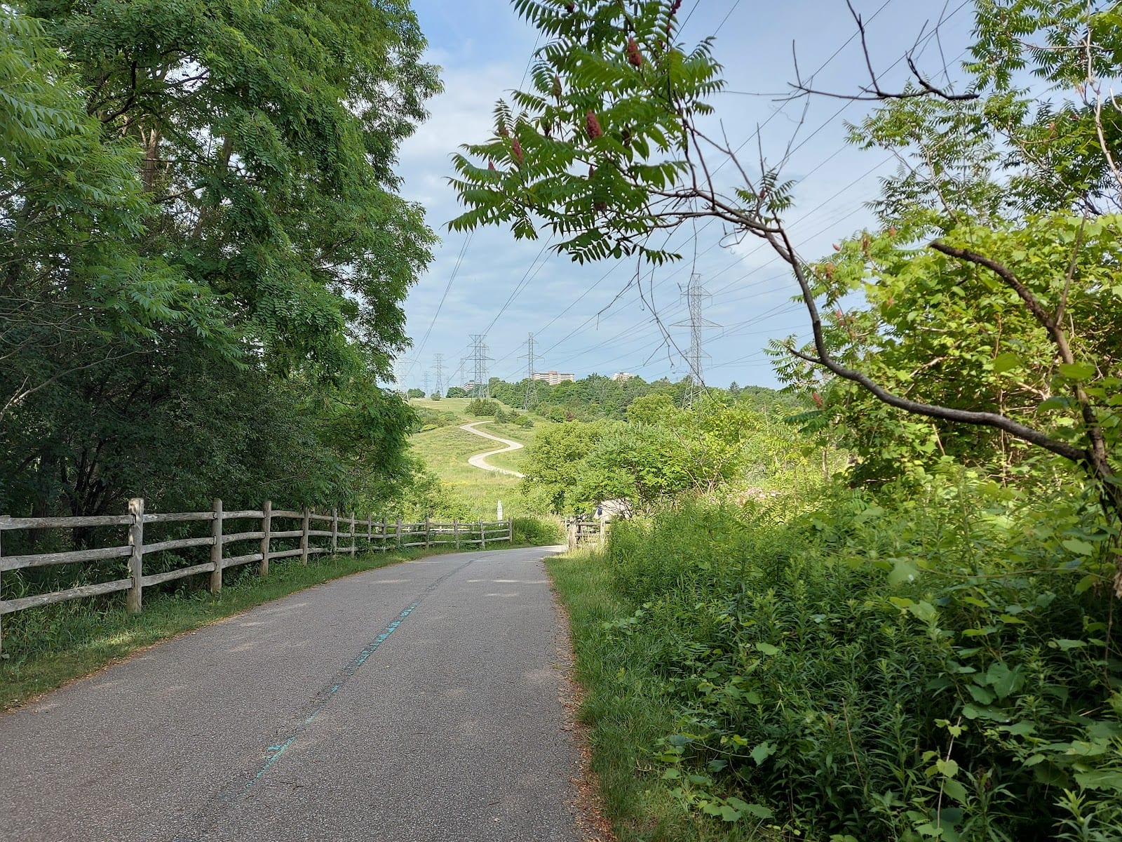 North York Bike Trail
